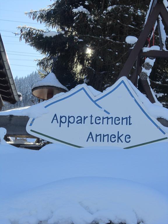 Appartement Anneke Niedernsill Zewnętrze zdjęcie