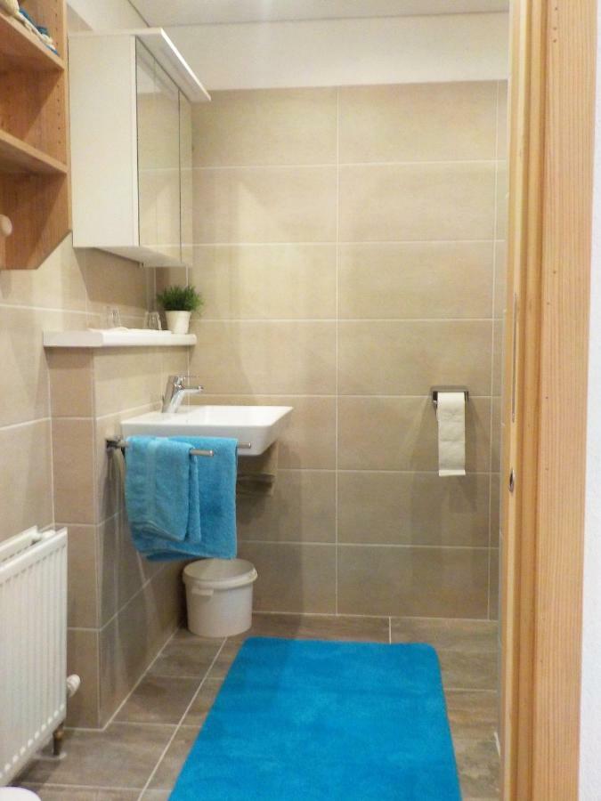 Appartement Anneke Niedernsill Zewnętrze zdjęcie